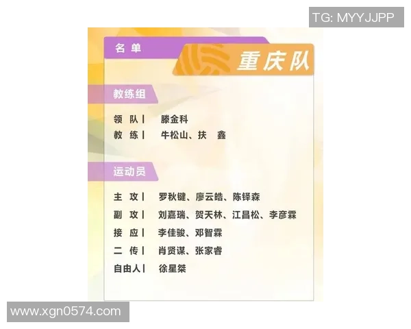 杭州排球队在排球个人能力排行榜中荣登第八名展现出强大实力与潜力