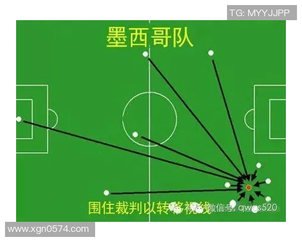 杭州篮球队在世界杯预选赛中的团队协作表现分析与点评