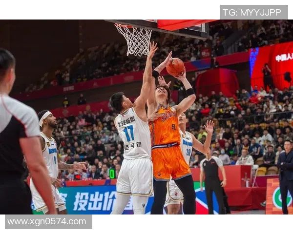 数据分析：上海篮球队的状态表现