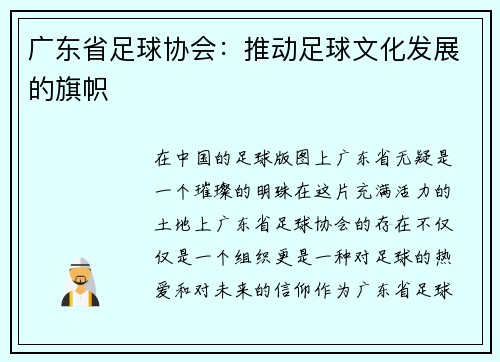 广东省足球协会：推动足球文化发展的旗帜