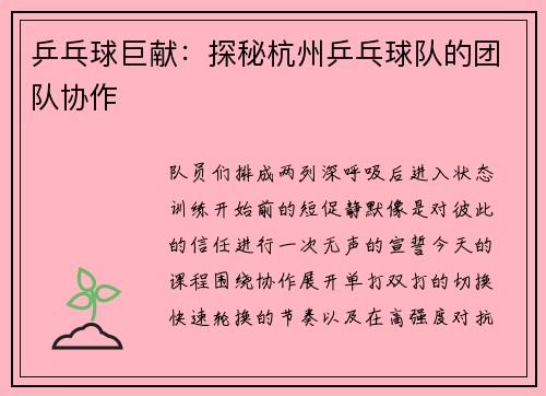 乒乓球巨献：探秘杭州乒乓球队的团队协作