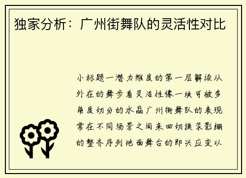 独家分析：广州街舞队的灵活性对比